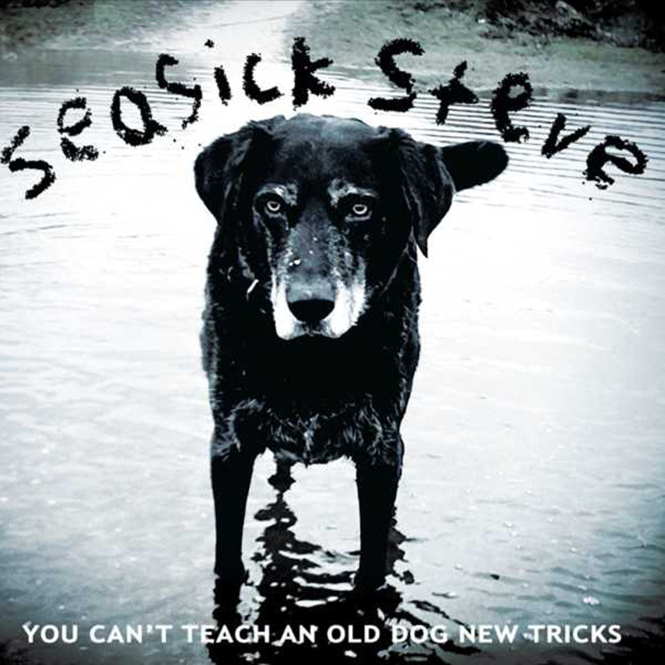 Seasick Steve - You Can't Teach An Old Dog New Tricks